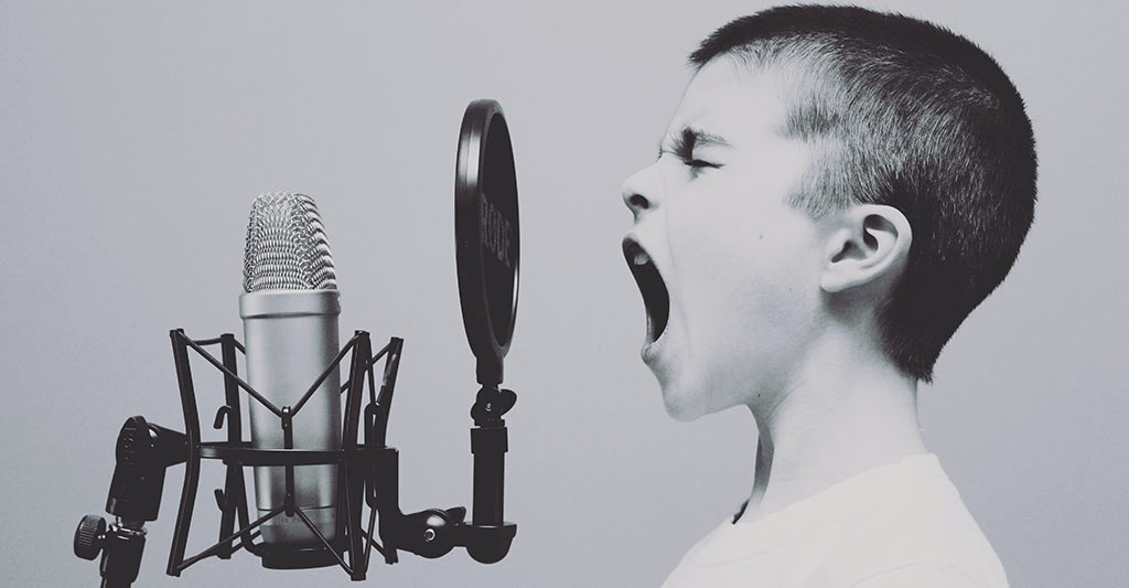 Sviluppo-siti-web-e-servizi-di-marketing-digitale-con-la-Web-Agency-Udine-PinguyWeb